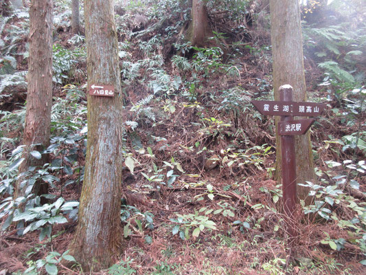 そのうち、尾根道にこのような看板が出てくる　マイナーな八国見山の標識は会の手作り