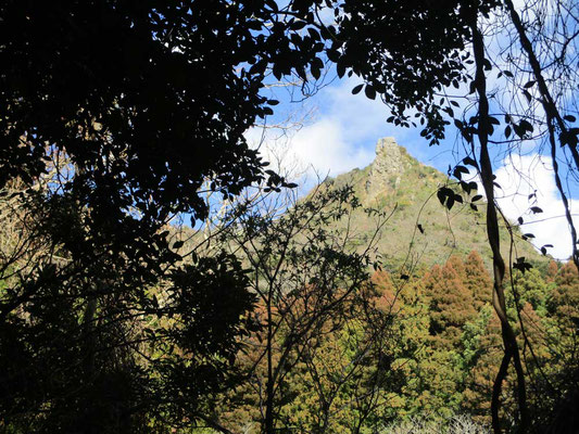 下山に振り返りざまに見えた山頂　あんな所にいたのか・・・