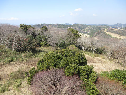 山頂かと勘違いした、大楠平に到着　そこにある展望台からの眺め　平たい景色が拡がる