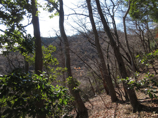 登っている左手にはこれから行く高取山が見える