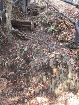 何枚写真にとってもキリがないカタクリに別れを告げ、こんな岩が露呈している登山道を登っていくと〜