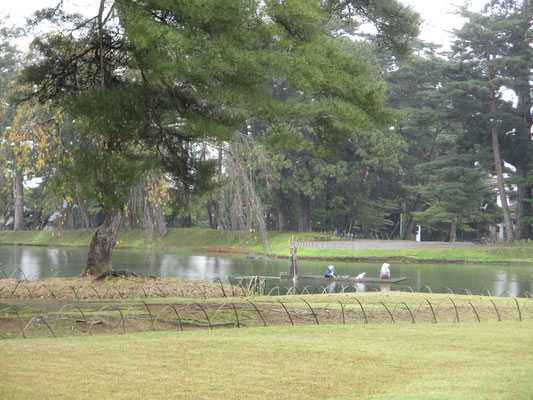 ・・・と雨が降ってきたら、お迎えの木舟が来て、先程の島で作業の二人を乗せて戻っていった