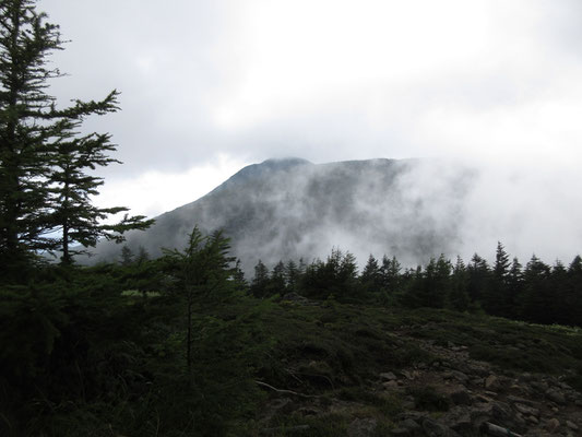 双子山で垣間見えた一瞬の蓼科山方面