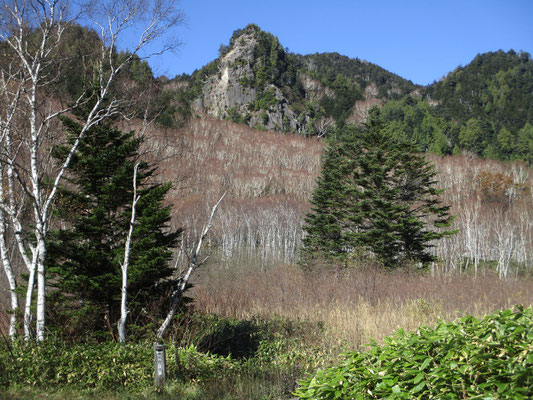 石の湯の登山口から坊寺山に向かう