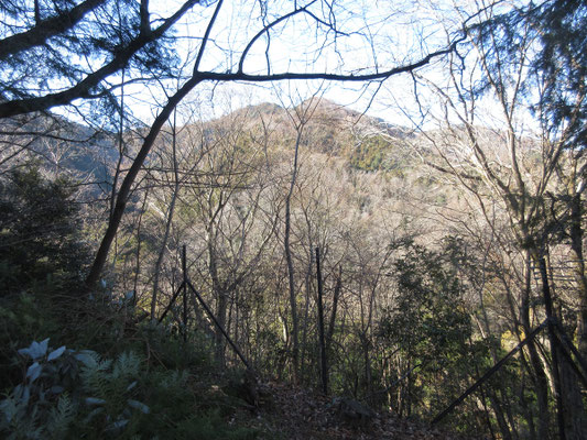 そこから見える華厳山