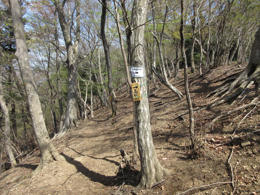 道標、付きました　ここは強風が抜ける箇所なので、すぐ破損したり飛んで無くなってしまう　今回は新しく木の札にする