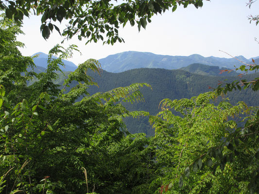 おそらく此処が当日一番の眺めだった　左手の三角の山は武甲山
