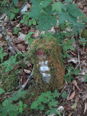 古風な標識　深く苔むしている　数字の部分が焼いた陶器で出来ているようで、何の標識なのか？　