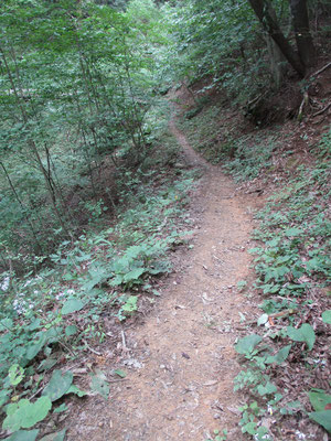 気分のいい静かな山道