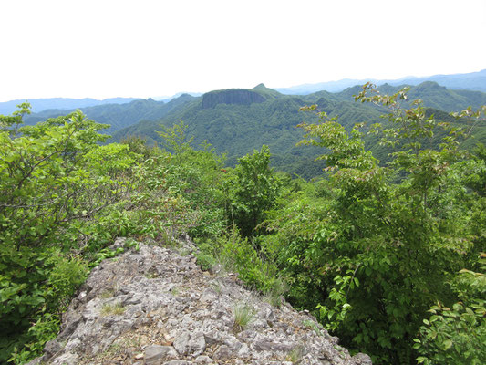 登ってみると、向こうには絶壁と角を立てたような荒船山の経塚山