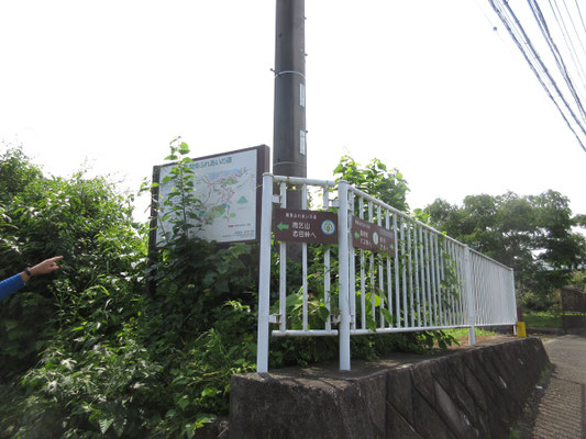 韮尾根バス停から少し行くと、関東ふれあいの道の入り口　本日はここから始める