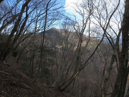 丹沢の人気の山、仏果山に続く革籠石山が見える