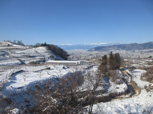 勝沼ぶどう郷駅は最高の展望台　ぶどう畑を前景に、遠く白嶺が見える　大興奮！