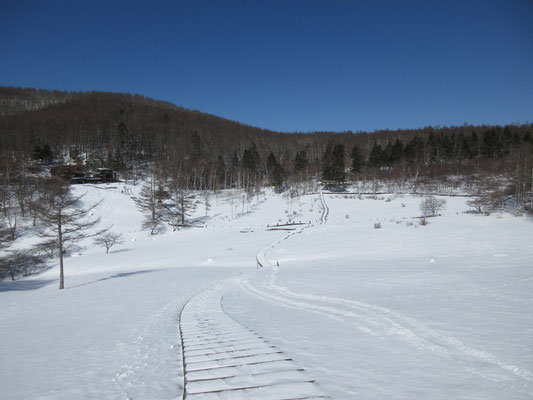 2月にもやって来た入笠湿原　それ以降、また少し雪が積もった様子