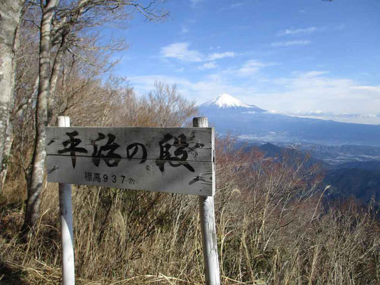 立派な看板