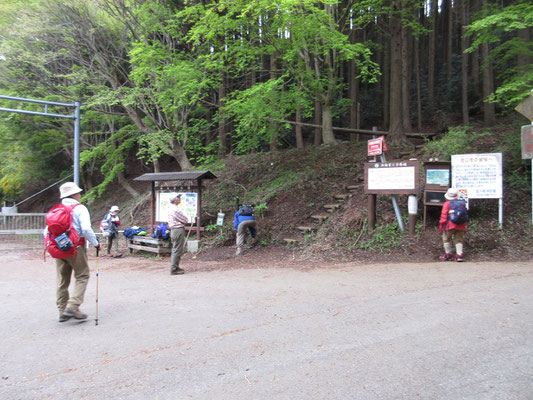 この対岸が経ヶ岳への取付き　が、当日はもう登らないでここから林道を行く