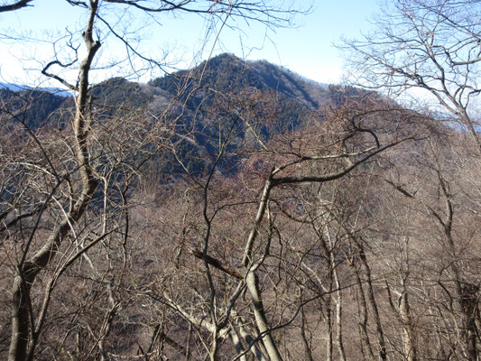丹沢本峰も顔負けのカッコよさ!