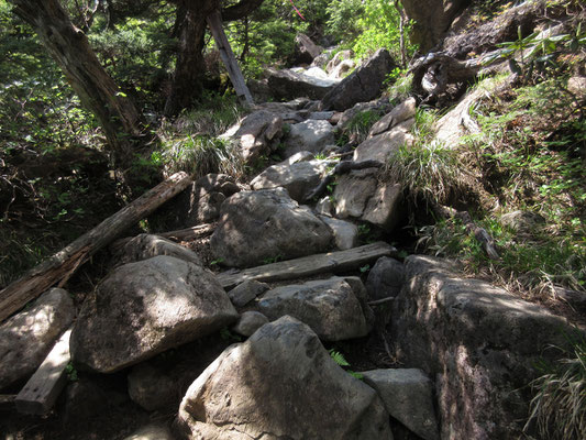 工夫された登山道3（バラバラの岩と何気に渡してある木が絶妙）