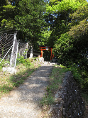 赤い鳥居の神社　そちらに登って行ってみる　手前には鳥獣柵の扉があり、きちんと開閉して入る