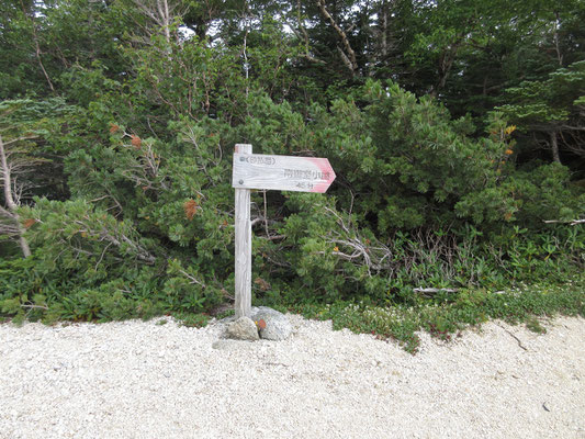 砂払岳　ここが森林限界の境目　ここを過ぎると、もう樹林のなかに入って視界はなくなる　稜線でもずっと視界はなかったけれど…