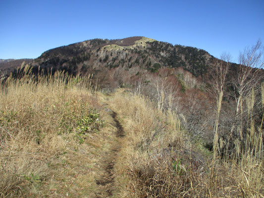 茶臼山に向かって気持ちいい登山道を進みます