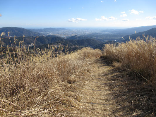 下山は海の方に向かって行く　大きな町は小田原