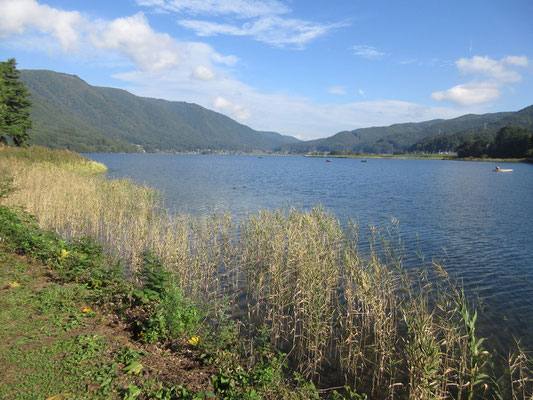 風も弱く、とても気持ちがいい朝だった