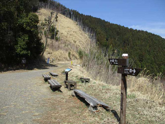 山頂に向かう広々した「馬王平」ここから再び暫くの急登が続きます