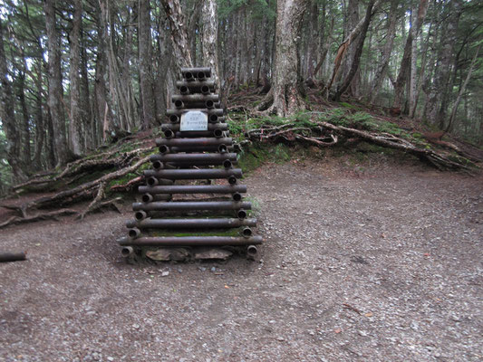 そして本当の杖突峠の標識に到着する頃には、再びのガス