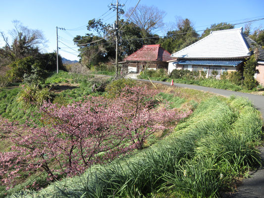 この辺りだけだろうか、家々の屋根が急勾配で独特の形になっている　房総に来たなーと言う風景