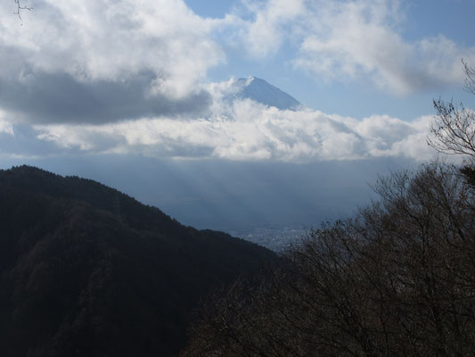 到着した時にはかろうじて富士山の頭が半分見えたが、そのあとは雲のなか