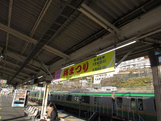 上を見上げると、梅まつりの横断幕も