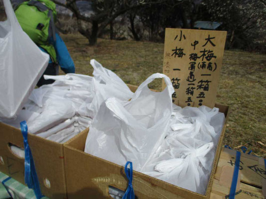 無人売店　手づくり梅干し（大・中・小梅）が置いてありました　一つ500円也