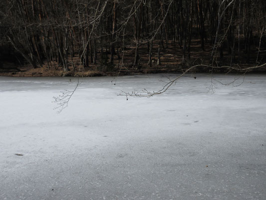 白く氷結した池
