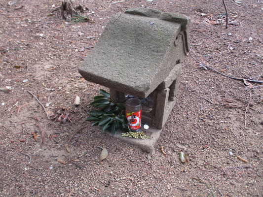 北尾根を下るときには必ず立ち寄る「山の神」　落ちていたきれいな常緑の枝とキブシの花を供える