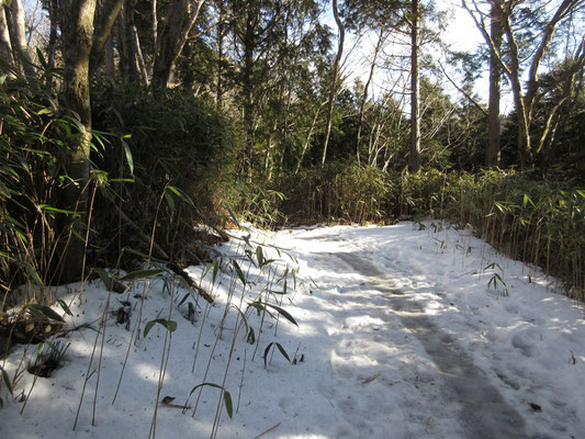 403段あるという階段を昇り終えて、やっと山道に入る　人の踏み跡は固く凍っていて滑る