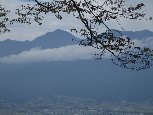 桜の梢越しに常念岳