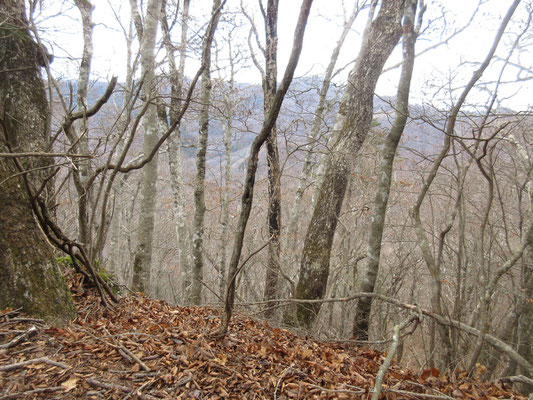 カネ山とは誰がつけた山名か？　そこでしばしスケッチタイムとする