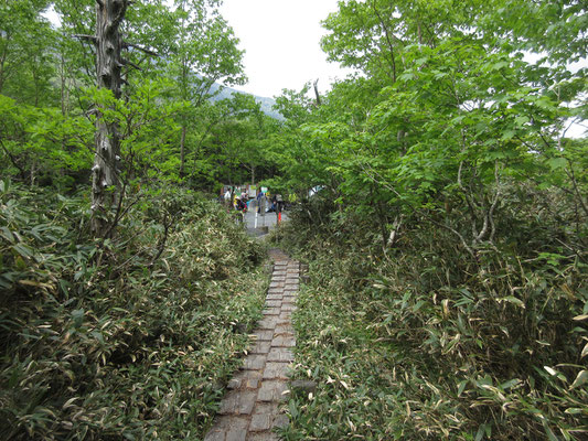 そして小田越登山口に無事到着