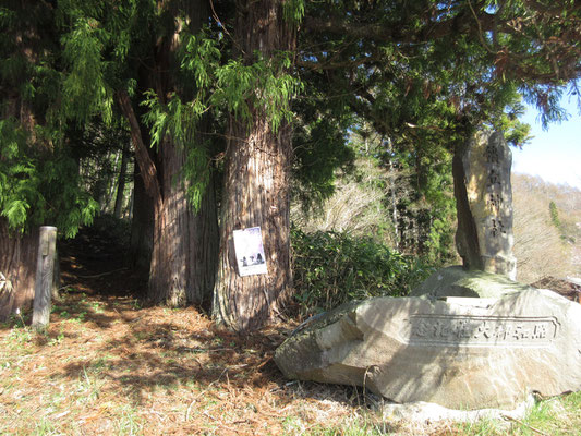 日が伸びた今、山荘に到着後、裏山の「飯縄山」まで登ってみることにする