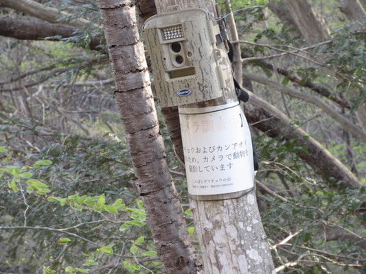 こんな感じ