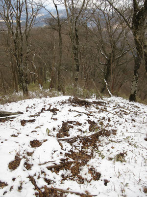 スケッチをして、落ち葉と雪の道を下山　足に優しい道