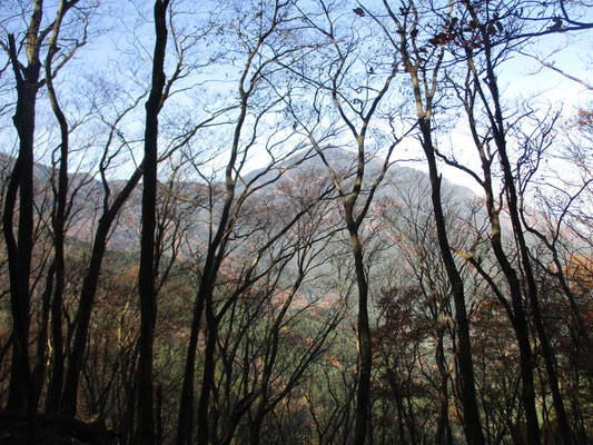 峠まで登ると向こうに武甲山が見えてきた