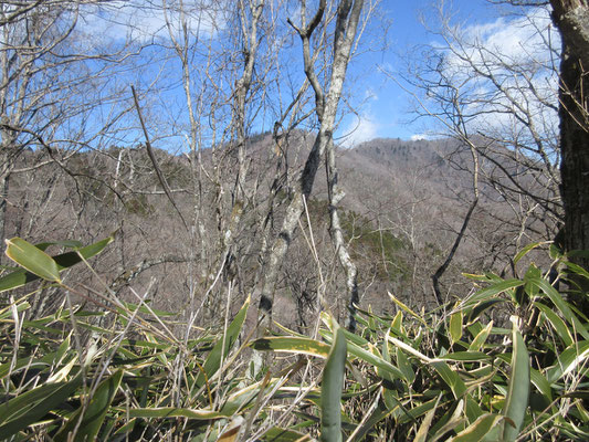 下山途中で見上げると、真ん中の高みが先程いた石割山　右奥のピークは日向峰