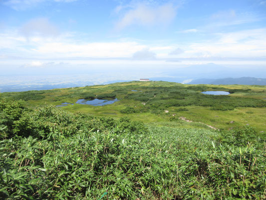 山旅もフィナーレに近づく 弥陀ヶ原の湿原が見えてきた