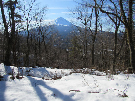 いつも横浜から見る富士山と形が違う