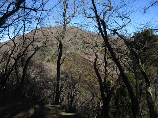 それから少し進むと、いよいよ正面に目指す華厳山が見えた