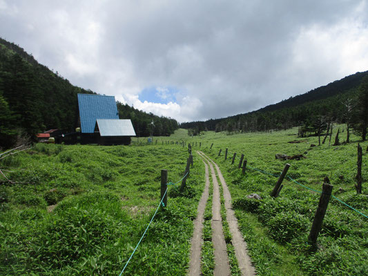 まもなく木道の先の草原に縞枯山荘が見える　着いた頃には小屋の玄関先で、小屋の人がお土産コーナーの“出店”をしていた