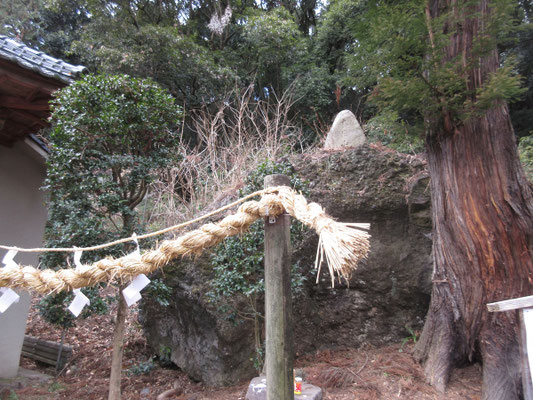 裏手の岩をお祀りしている