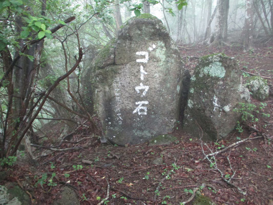 岩に名前が書いてある「ゴトウ岩」　なぜ、ゴトウ？